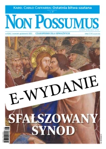 NON POSSUMUS. IMPERATYW (e-wydanie)