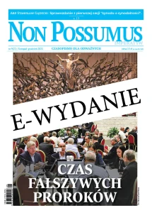 NON POSSUMUS. IMPERATYW (e-wydanie)